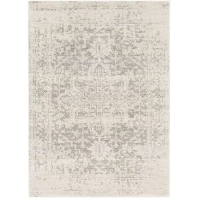 3' x 5' Distressed Oriental Area Rug in Light Grey / Beige