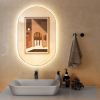 Oval LED Wall Mirror Backlit Dimmable Bathroom Wall Mounted Mirror