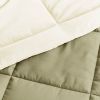 Twin/Twin XL 2-Piece Microfiber Reversible Comforter Set in Sage Green/Cream